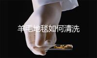 羊毛地毯如何清洗