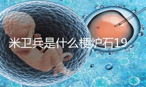 冯提莫和周传雄是什么梗