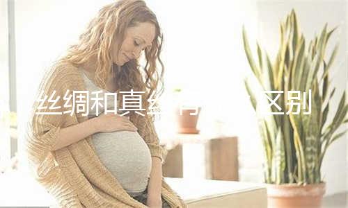 歌曲先生再见