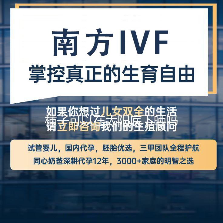 杨树蘑菇能吃吗