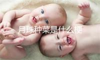 月球种菜是什么梗