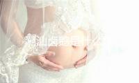 潮汕卤鹅是什么梗