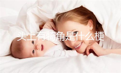 韭菜花一般在几月上市