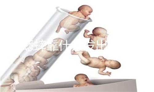 羊毛衫会缩水吗