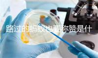 路过的蚂蚁也要称赞是什么梗