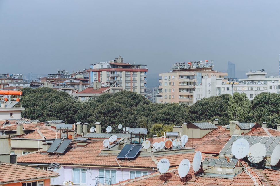 探索微观废土,重建小鸟家园